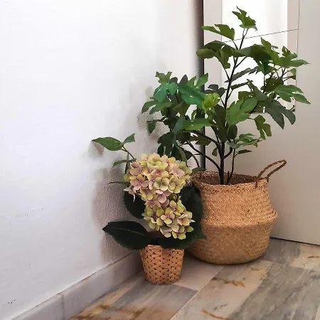 Lovely Center - Sunny Balcony Alfalf *